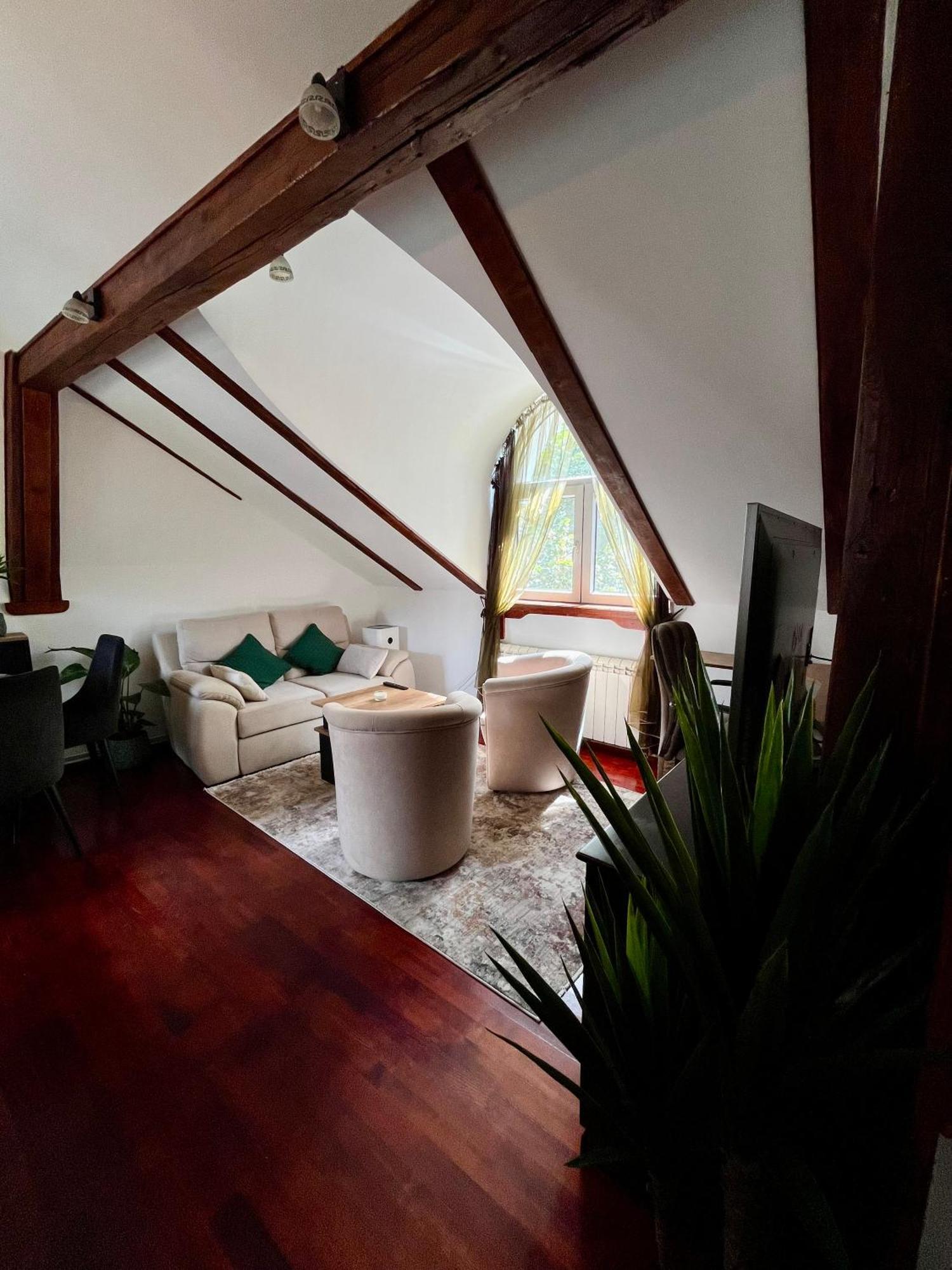 Apartmán Urban Oasis Bělehrad Exteriér fotografie